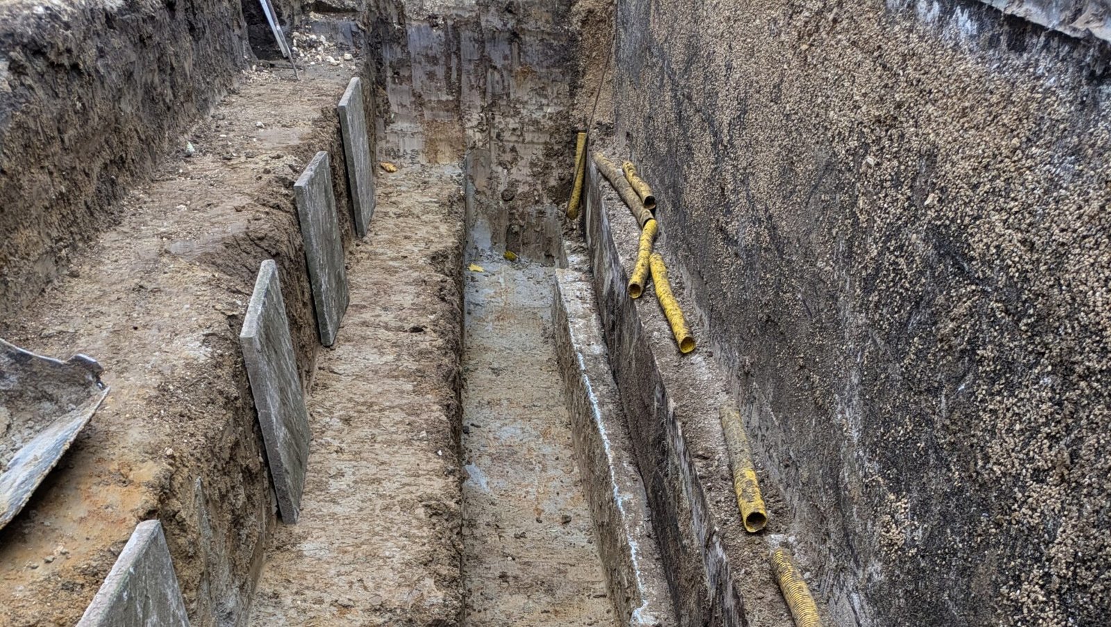 pxl 20241112 140037054