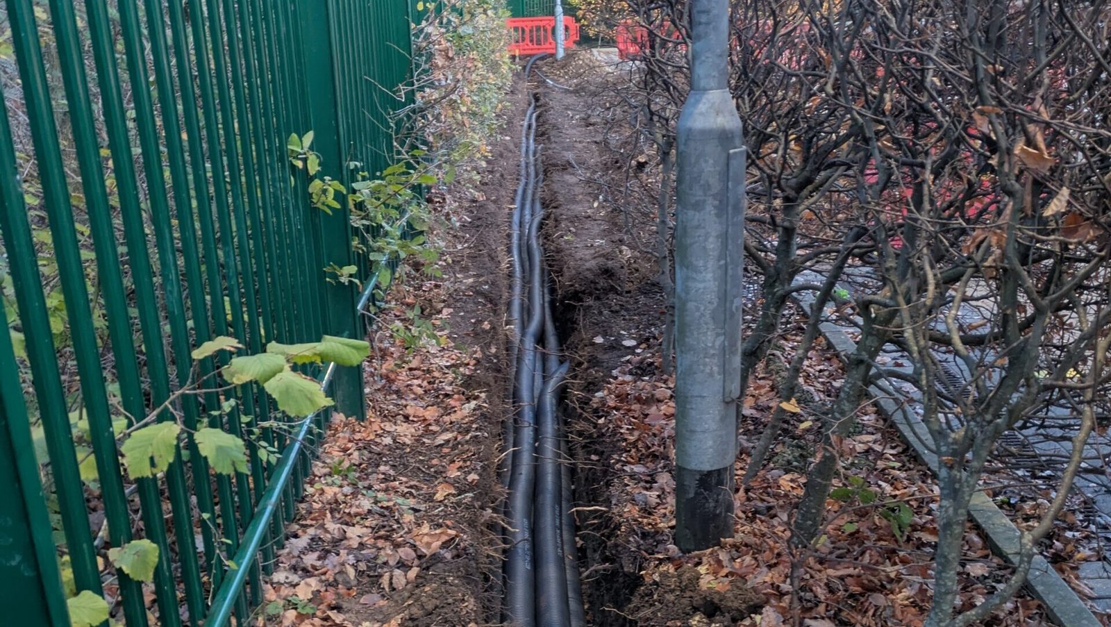 pxl 20251121 161407936